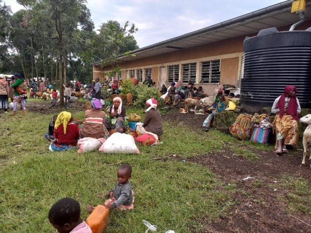 RDC-Goma : plus de 100 déplacés vivent dans des conditions difficiles