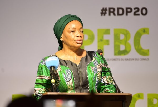 Lancement de la 20ème réunion du partenariat pour les forêts du bassin ...