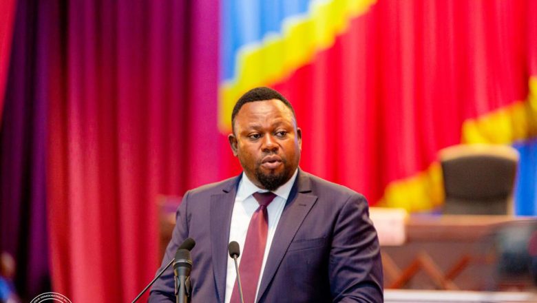 Assemblée nationale de la RDC