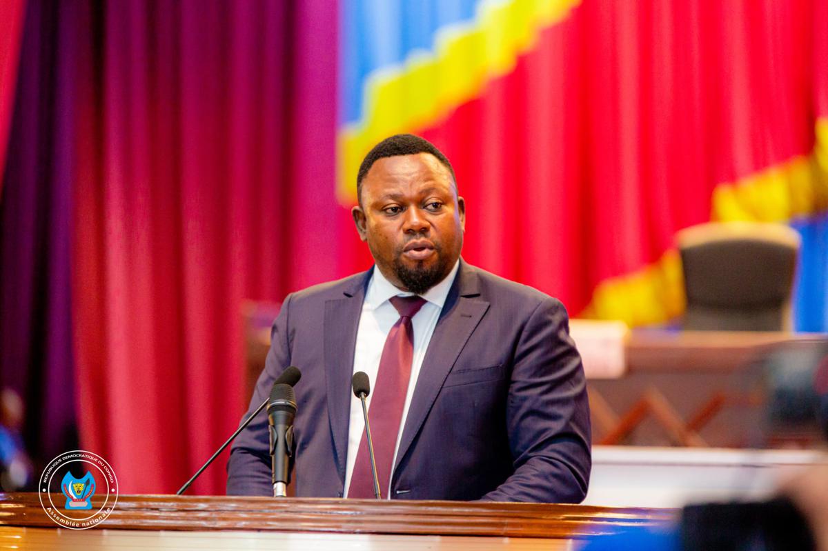 Assemblée nationale de la RDC