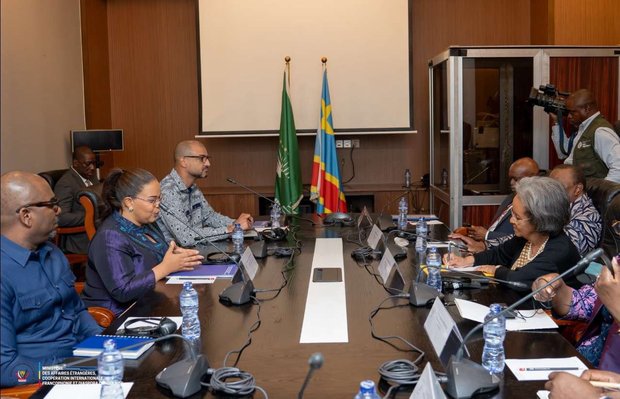 Crise dans l’Est de la RDC : le panel de l’Union africaine échange avec Kinshasa pour relancer la dynamique de paix
